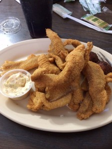 Catfish Filets. The best in the world.